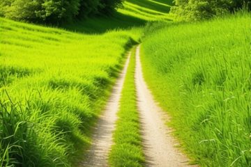 The Stress-Free Path to Recovering a Suspended Google Business Profile